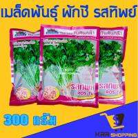 ( Promotion+++) คุ้มที่สุด เมล็ดพันธุ์ผักชี รสทิพย์ ตะวันต้นกล้า (ผักชีรสทิพย์) 300 กรัม ราคาดี พรรณ ไม้ น้ำ พรรณ ไม้ ทุก ชนิด พรรณ ไม้ น้ำ สวยงาม พรรณ ไม้ มงคล