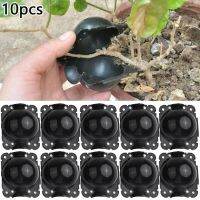 ✣卍 5pcs/10pcs plant rooting equipment high pressure propagation ball nursery box grafting seedlings