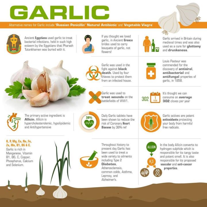 น้ำมันกระเทียมสกัดเข้มข้น-ไร้กลิ่น-garlic-oil-perles-concentrate-250-softgels-solgar