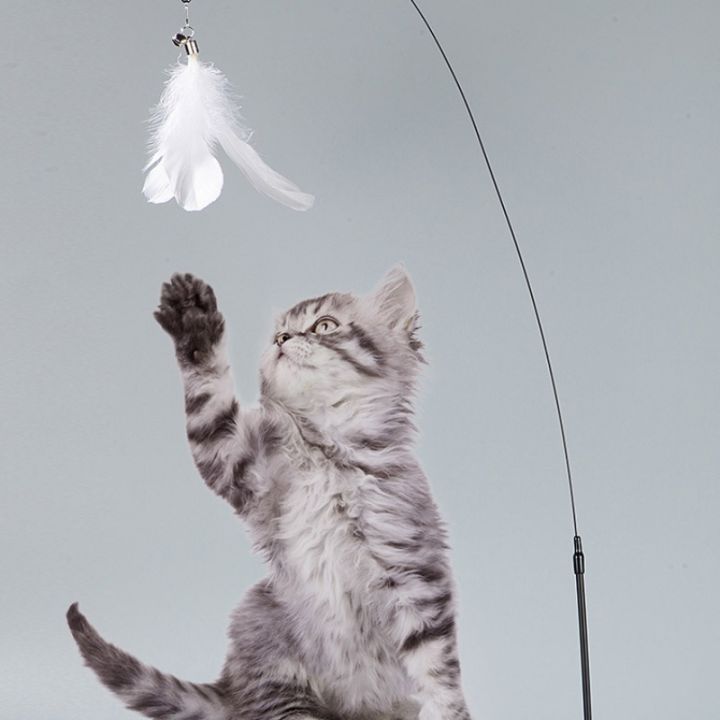 bhq-pet-ของเล่นแมว-ของเล่นล่อแมว-cat-toy-ขนนก-แบบปุ่มดูดสุญญากาศ-ไม้ตกแมว-ไม้แหย่แมว-สําหรับแมว
