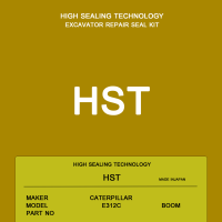 HST ชุดซ่อมกระบอกไฮดรอลิค CAT E312C / BOOM ARM BUCKET Cylinder Seal Kit / Caterpillar Excavator