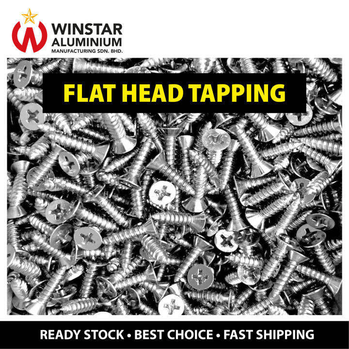 MK® / TWINFAST Tapping Screw Pan Head / Flat Head 10 Lazada