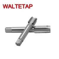 WALTETAP VAP HSS เมตริกมือขวาแตะ M20 M21 M22 M23 X0.5 X0.75 X1 X1.25 X1.5 X2 X2.5 สกรูโลหะดอกต๊าปเกลียวละเอียด