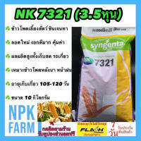 ข้าวโพดเลี้ยงสัตว์ เอ็นเค NK 7321 เบอร์2 (3.5 หุน) ขนาด 10 กิโลกรัม ซินเจนทา ข้าวโพดสัตว์ เมล็ดกลมกลาง ลอตใหม่ หมดอายุ 03/2567 ผลผลิตสูงมาก