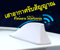 เสาอากาศ เสาอากาศรูปฉลาม เสาอากาศติดรถยนต์ รับสัญญาณได้ชัดเจน ทั้ง AM/FM ใส่ได้ทุกรุ่น มีหลายสี