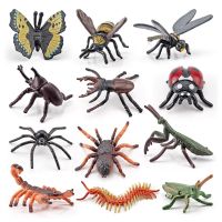 【CC】❆■  Pack of 12 Insect Bugs Figures Educational Figurines Children Interactive Set Accessory School Classroom