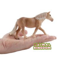 Animal Kingdom - โมเดล Horse ม้า ฮันโนเวอร์ ครีม ขนาด 14.50 CM (จากสงขลา)