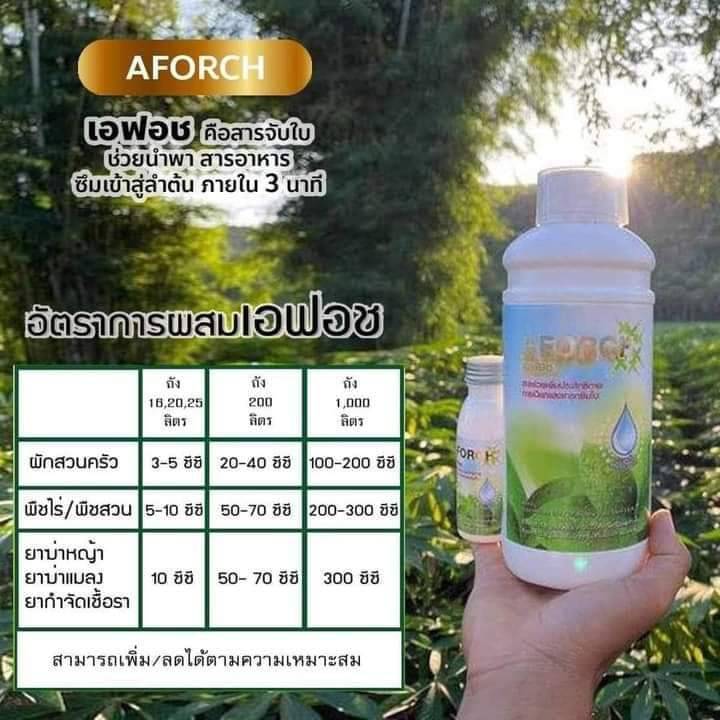 พร้อมส่ง-ส่งไว-เอฟอช-aforch-1-ลิตร-สารจับใบ-ชนิดเร่งดูดซึมไว-เอฟอชปุ๋ยจอมยุทธ์