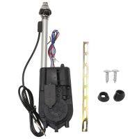 Universal Electric Power Automatic Antenna Car SUV AM &amp; FM Radio Mast Aerial 12V