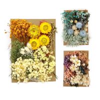 Dried Pressed Flowers Real Dried Flower Dry Plants For Aromatherapy Candle Epoxy Resin Pendant Necklace Jewelry Making