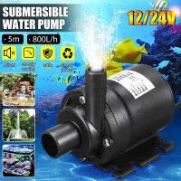 [Trust Family Life Store] 800L /H 5M DC 12V 24V โซลา Brushless Motor Water Circulation Watering Washing Pump Submersible Water Pump 12V