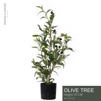 Olive Tree Heigh 70CM - ต้นมะกอก สูง 70 ซม. ต้นไม้ปลอม เกรดพรีเมี่ยม ต้นไม้ปลอม ต้นไม้ประดิษฐ์  ต้นไม้เสมือนจริง Premium Artificial Plant for home hotel resort decoration