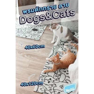 ( Pro+++ ) สุดคุ้ม [ Mattii พรมดักฝุ่นแบบยาว ] ใยดักฝุ่นพิมพ์ลาย สัมผัสนุ่ม ทำความสะอาดง่าย ( ลายลิขสิทธิ์มีเฉพาะทางร้านเท่านั้น ) ราคาคุ้มค่า พรม พรม ปู พื้น พรม ปู พื้น ห้อง อพรม อัด เรียบ