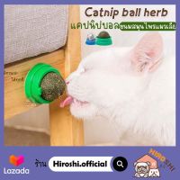 กัญชาแมว แคทนิปบอล catnip ball TY211 ขนมแมวเลีย Ball Herb แปะกำแพง กัญชาแมวเลีย สมุนไพรแมว