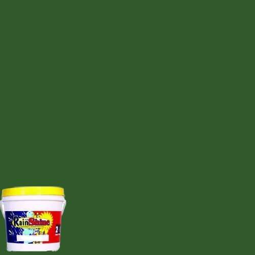 Rain or Shine Elastomeric House Latex Waterproofing Paint Baguio Green