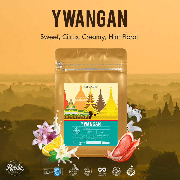 ratika-ywangan-specialty-roasted-เมล็ดกาแฟคั่ว-อราบิก้าสเปเชียลตี้-หยุนง่าน