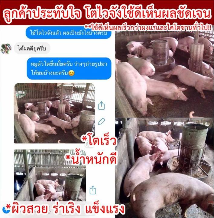 อาหารเสริมหมู-ไก่-เป็ด-ไคโตซานโตเร็ว-โตไว-ร่าเริง-แข็งแรง-น้ำหนักดี