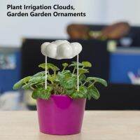 Cute Cloud Display Mold Anti-deformed Resin Ornament Gentle Spray Flower Plants Water Sprinkler Cloud Mold Watering