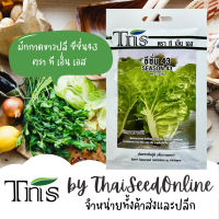 TNS เมล็ดพันธุ์แบบซองเล็ก ขาวปลี ซีซั่น43 ตรา ที เอ็น เอส ผักกาดขาวปลี