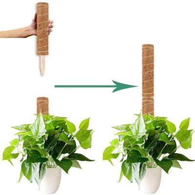 Moss Poles for Climbing Plants with Wooden Plant Tags Stackable Moss Stick for Plants Climbing to Grow Upwards