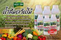 น้ำส้มควันไม้ ตรา Lucky Tree กลั่นกรองบริสุทธุิ์ เผาจากไม้สะเดา100%  ไร้ตะกอนไร้น้ำมัน รับประกันความฉุน