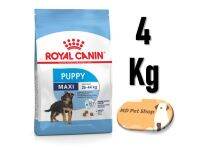 (ฟรีของแถม) Royal Canin Maxi Puppy 4Kg  โรยัล คานิน สูตรลูกสุนัชพันธุ์ใหญ่ ขนาด 4 กิโลกรัม