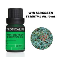 น้ำมันระกำ น้ำมันหอมระเหยวินเทอร์กรีน WINTERGREEN ESSENTIAL OIL 10 ml