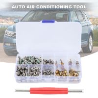 135 Pcs Auto Air Conditioning A/C Valve Core R134 Remover Assortment Kit For