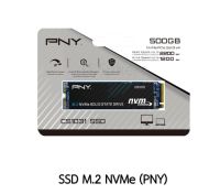 PNY - M280CS2241-1TB-CL_PNY CS2241 M.2 2280 NVMe 1TB SSD (New)