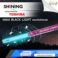 หลอดไฟล่อแมลง BLACK LIGHT SHINING by Toshiba #หลอดไฟ  #หลอดไฟLED #ไฟ #ไฟLED  #หลอด LED  #หลอดไฟประหยัด