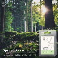 Soy Wax Melts กลิ่น Spring Breeze หอม สะอาด อบอุ่น | อวล ก้อนเทียนหอมชนิดละลายบนเตาน้ำหอม ขนาด 75 กรัม