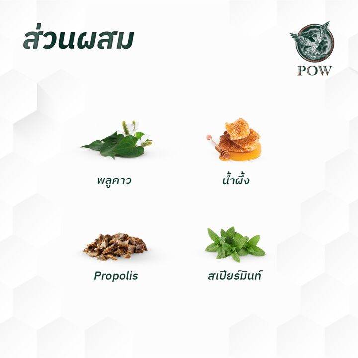 ส่งฟรี-ของแท้-พาวเมาท์สเปรย์-pow-mouth-spray-สำหรับช่องปาก-ขนาด-15-มล-by-wise-shop