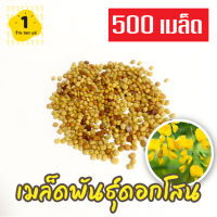 เมล็ดดอกโสน 500 เมล็ด Sesbania เมล็ดพันธุ์ดอกโสน เมล็ดโสนดอกใหญ่ โสนเพาะเห็ดตับเต่า เมล็ดผักสวนครัว เมล็ดพันธุ์ผัก