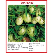 Hạt giống Dưa Pepino - 4 Hạt Dưa Nam Mỹ