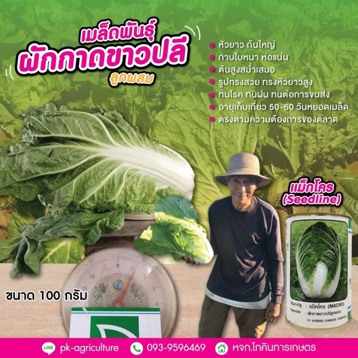 เมล็ดพันธุ์ผักกาดขาวปลี-แม็กโคร-seedline-ขนาด-100-กรัม