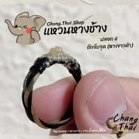 ?? แหวนหางช้าง ? ปลอก 5 ถักจับจุด(หางขาวดำ) ของแท้ 100%