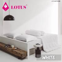 Lotus ชุดผ้าปูที่นอน+ผ้านวมเย็บติด (3.5ฟุต 5ฟุต 6ฟุต) ชุดเครื่องนอนโลตัสรุ่น ATTITUDE สีพื้น ทอ 490 เส้นด้าย ผ้านุ่ม รหัส LAT-BASIC WHITE สีขาว