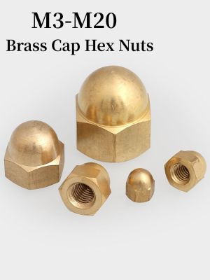 Brass Cap Hex Nuts Decorative Dome Head Cover Semicircle Acorn Nut DIN1587 M3 M4 M5 M6 M8 M10 -M20 Nails Screws Fasteners