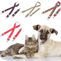 Rainbow Fixed Clip for Dog Diaper Elastic Rope Suspenders for Pet Clothes Apparel Diaper Pants Skirt Belly Bands Pet Accessories Clothing Shoes Access