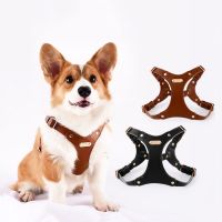 Leather Dog Harness with Metal Buckle Breathable Adjustable Vest Harnesses for Small Medium Dogs Outdoor Pet Walking Accessories Collars