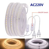 220V LED Strip 120LEDs/m With EU Plug and Switch Flexible LED Light Not Dazzling SMD 2835 Waterproof Outdoor Use LED Tape