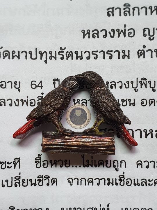 amulet-charm-รับประกันแท้-สาริกาหลงรัง-หลวงพ่อญาครูดุง-2561