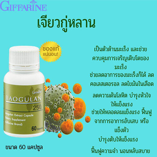 hot-sale-กิฟารีนอาหารเสริมเจียว-กู่หลาน250ผลิตภัณฑ์เสริมมอาหาร-สารสกัดจากเจียวกู่หลาน-60แคปซูล-1กระปุก-รหัส41018-lung-d-ของแท้100