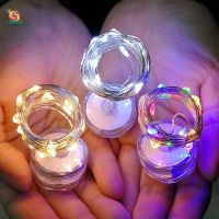 1M 10LED/2M 20LED Copper Wire String Fairy Light Lamp waterproof Battery Lights