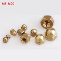 1/2/5pcs Acorn Cap Nut M3 M4 M5 M6 M8 M10 M12 M14 M16 M18 M20 Brass Decorative Dome Head Cover Semicircle Acorn Nut