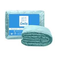 SB Design Square ผ้ารองกันเปื้อน QUEEN SIZE PICASSO รัดมุมยางยืด SMILE สี GREEN MINT (152x198x2 ซม.)