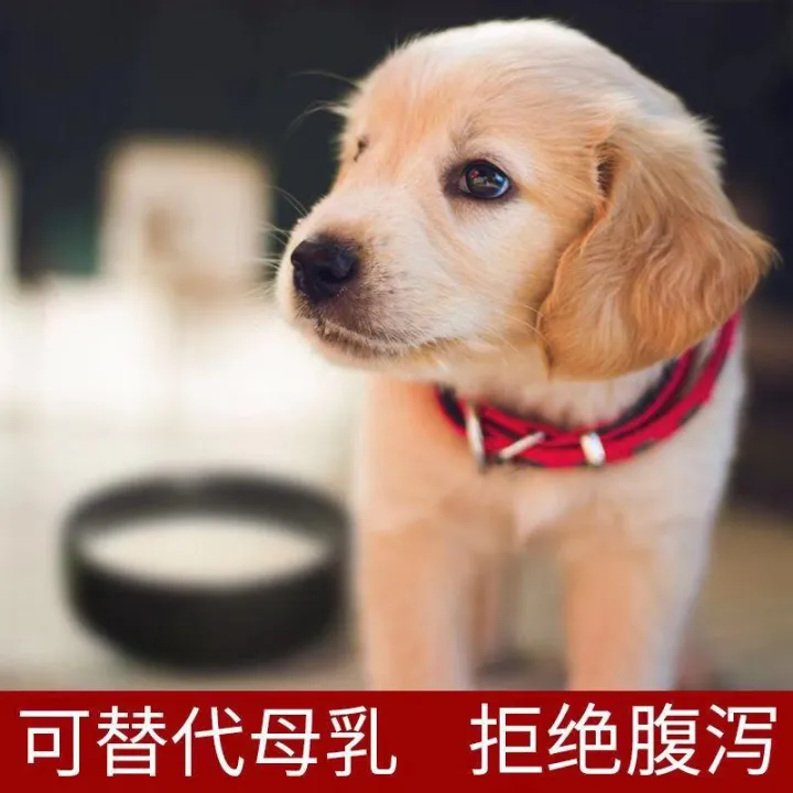 Progoat milk powder, cow milk powder, pet bulk milk powder, young dogs