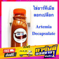 ส่งฟรี ไข่อาร์ทีเมีย อบแห้ง Artemia Decapsulate ฟอกเปลือก น้ำหนักสุทธิ 100 กรัม สำหรับปลาหางนกยูง ปลากัด ลูกปลา เก็บปลายทาง ตรงปก