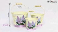 HOT** U-RO DECOR LILAC-M กระถางดอกไม้ ทรงถังน้ำมีหูหิ้ว กระถาง ตกแต่งบ้าน กระถางมินิมอล กระถางต้นไม้ กระถางแต่งบ้าน กระถางถูก ส่งด่วน อุปกรณ์ ตกแต่ง สวน อุปกรณ์ ตกแต่ง สวน ถาด อุปกรณ์ ตกแต่ง ต้นไม้ อุปกรณ์ ตกแต่ง สวน หย่อม