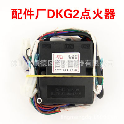 Water Heater Accessories Dkg5 Strong Pulse Igniter Dkg2 Pulse Controller Dkg3 No Timing